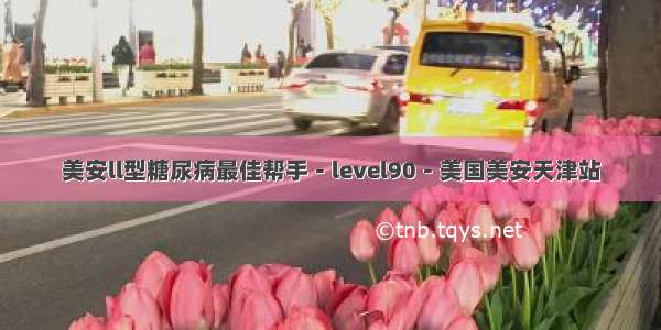 美安ll型糖尿病最佳帮手－level90－美国美安天津站