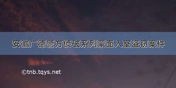 安徽广德警方侦破系列蒙面入室盗窃案件