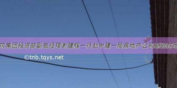 中国建筑集团投资部副总经理谢建辉一行赴中建一局房地产公司新跟踪地块调研