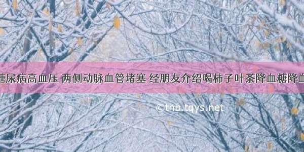 本人患有糖尿病高血压 两侧动脉血管堵塞 经朋友介绍喝柿子叶茶降血糖降血压 柿子叶