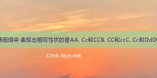 在下列基因组中 表现出相同性状的是AA. Cc和CCB. CC和ccC. Cc和DdD. Cc和cc