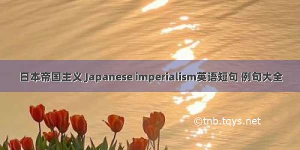 日本帝国主义 Japanese imperialism英语短句 例句大全