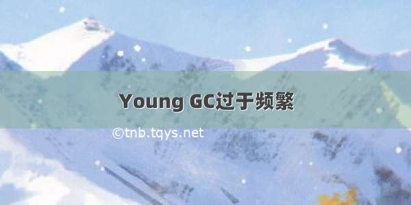 Young GC过于频繁