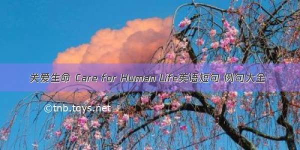 关爱生命 Care for Human Life英语短句 例句大全