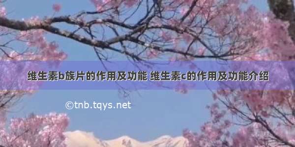 维生素b族片的作用及功能 维生素c的作用及功能介绍