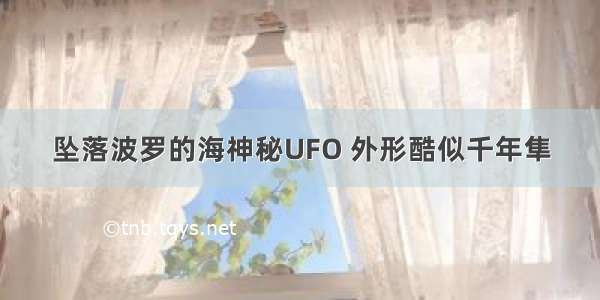 坠落波罗的海神秘UFO 外形酷似千年隼