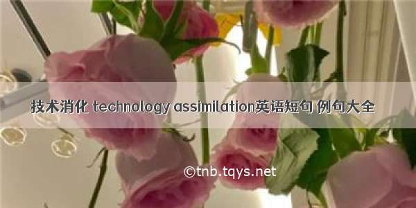 技术消化 technology assimilation英语短句 例句大全