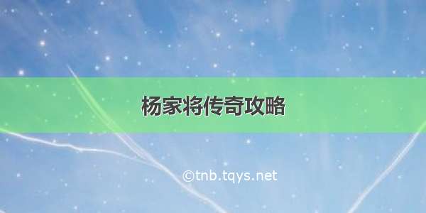 杨家将传奇攻略