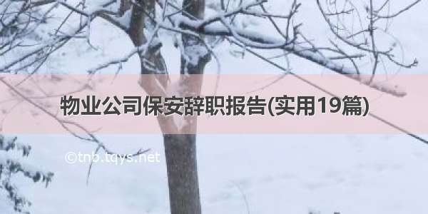 物业公司保安辞职报告(实用19篇)