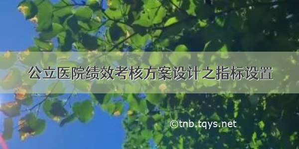 公立医院绩效考核方案设计之指标设置