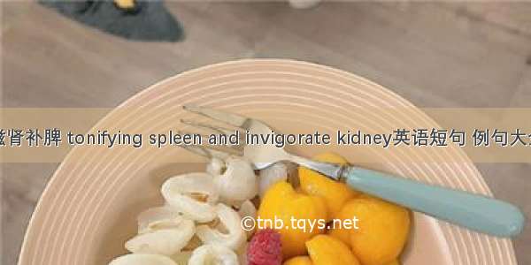 滋肾补脾 tonifying spleen and invigorate kidney英语短句 例句大全