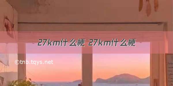 27km什么梗 27km什么梗