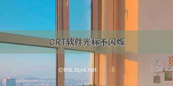 CRT软件光标不闪烁