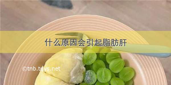 什么原因会引起脂肪肝