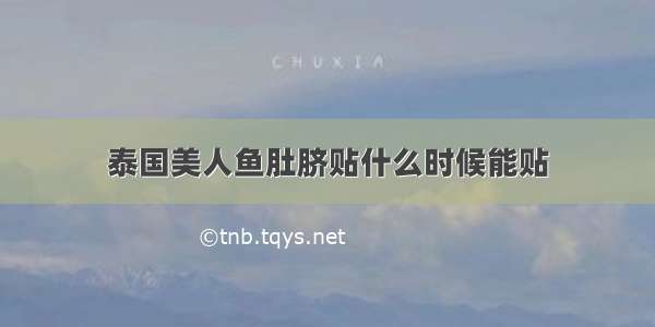 泰国美人鱼肚脐贴什么时候能贴