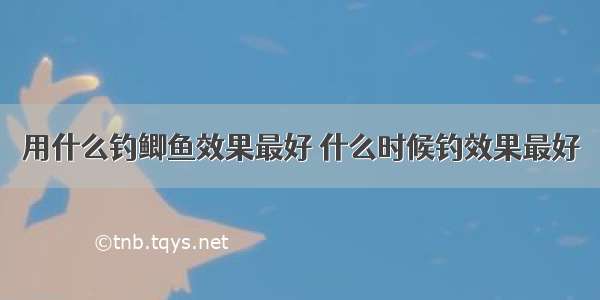 用什么钓鲫鱼效果最好 什么时候钓效果最好