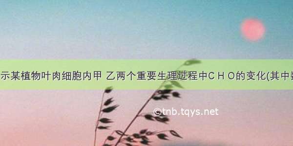 下面图1表示某植物叶肉细胞内甲 乙两个重要生理过程中C H O的变化(其中数字代表过