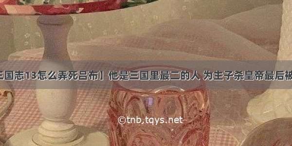 【三国志13怎么弄死吕布】他是三国里最二的人 为主子杀皇帝最后被弄死