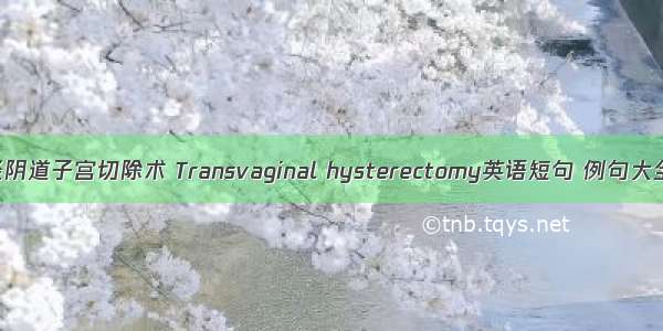 经阴道子宫切除术 Transvaginal hysterectomy英语短句 例句大全