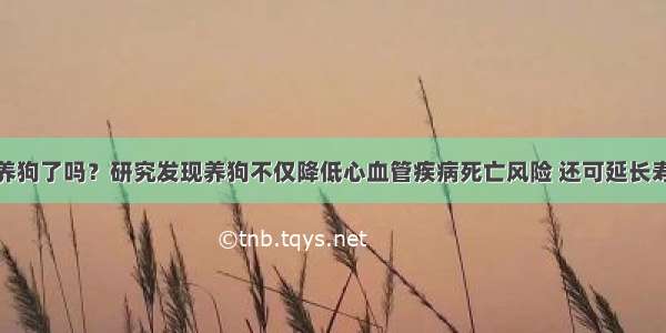 你养狗了吗？研究发现养狗不仅降低心血管疾病死亡风险 还可延长寿命