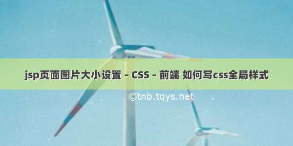 jsp页面图片大小设置 – CSS – 前端 如何写css全局样式