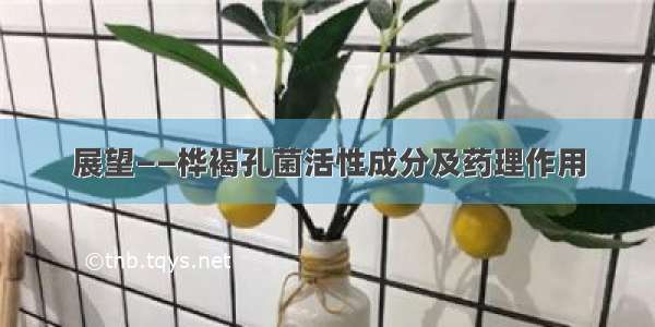 展望——桦褐孔菌活性成分及药理作用