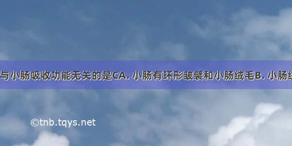 下列叙述 与小肠吸收功能无关的是CA. 小肠有环形皱襞和小肠绒毛B. 小肠绒毛中毛细