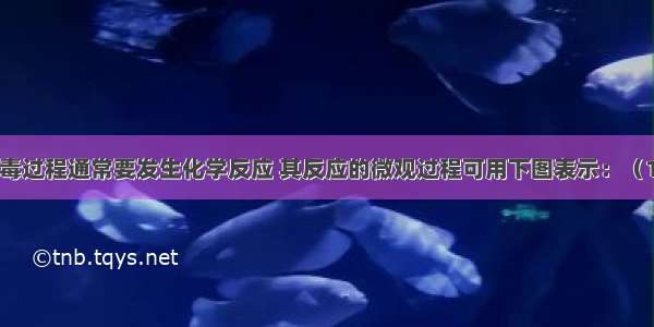 在自来水消毒过程通常要发生化学反应 其反应的微观过程可用下图表示：（1）请写出该