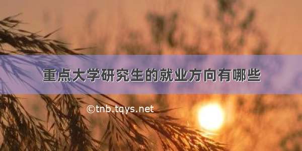 重点大学研究生的就业方向有哪些