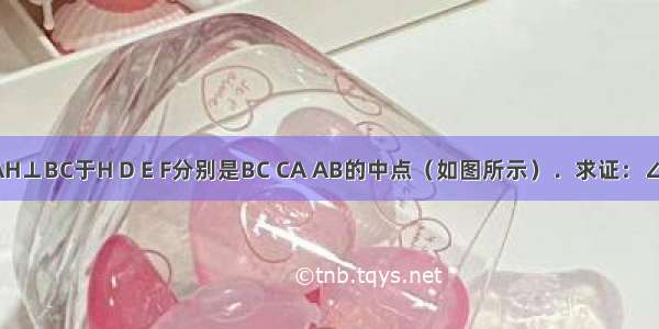 在△ABC中 AH⊥BC于H D E F分别是BC CA AB的中点（如图所示）．求证：∠DEF=∠HFE．