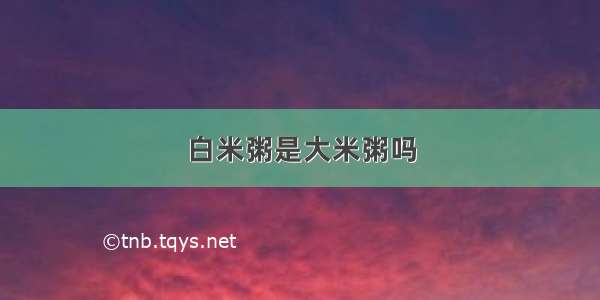 白米粥是大米粥吗