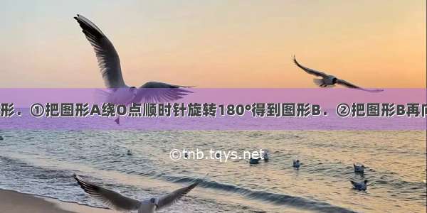 画出下列各图形．①把图形A绕O点顺时针旋转180°得到图形B．②把图形B再向右平移4格得