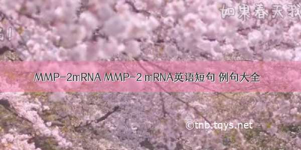 MMP-2mRNA MMP-2 mRNA英语短句 例句大全