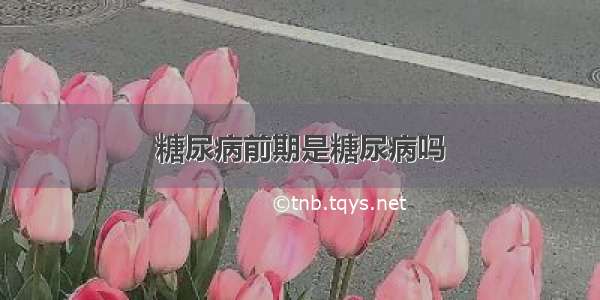 糖尿病前期是糖尿病吗