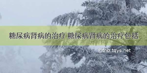 糖尿病肾病的治疗 糖尿病肾病的治疗包括