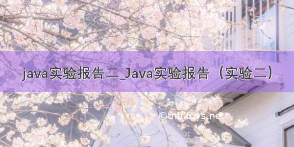 java实验报告二_Java实验报告（实验二）