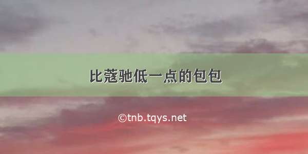 比蔻驰低一点的包包