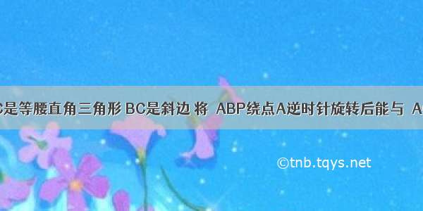 如图 △ABC是等腰直角三角形 BC是斜边 将△ABP绕点A逆时针旋转后能与△ACP1重合．