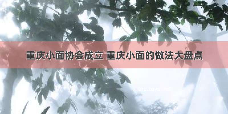 重庆小面协会成立 重庆小面的做法大盘点