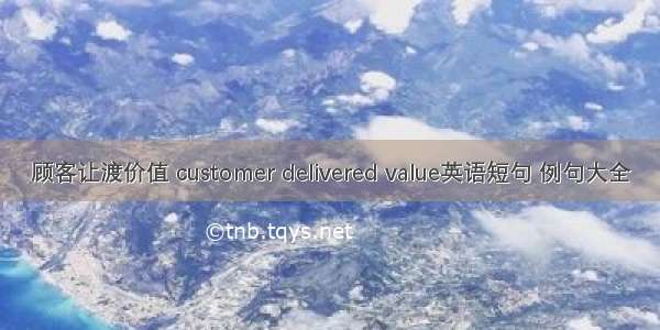 顾客让渡价值 customer delivered value英语短句 例句大全