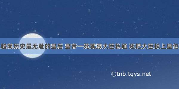 越南历史最无耻的皇后 皇帝一死就跟大臣私通 还把大臣扶上皇位