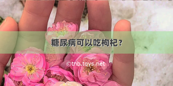 糖尿病可以吃枸杞？