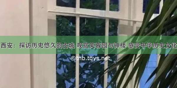 西安：探访历史悠久的古城 观赏芙蓉园与钟楼 感受中华历史文化