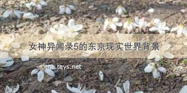 女神异闻录5的东京现实世界背景