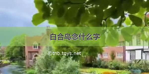 白合鸟念什么字