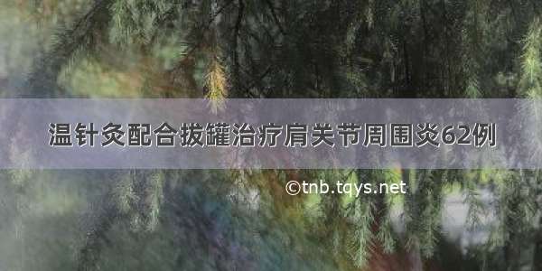 温针灸配合拔罐治疗肩关节周围炎62例