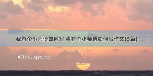 我有个小师傅如何写 我有个小师傅如何写作文(5篇)