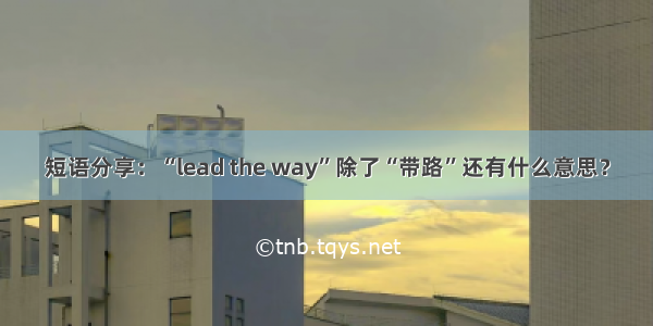 短语分享：“lead the way”除了“带路”还有什么意思？