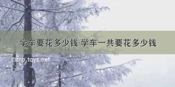 学车要花多少钱 学车一共要花多少钱