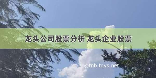 龙头公司股票分析 龙头企业股票